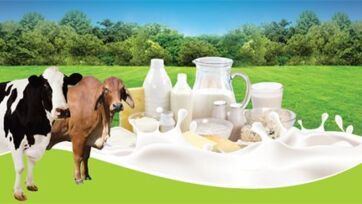 Daily Milk Benefits for Kids: Strong Bones, Immunity, and Energy