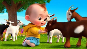 : A Journey of Joy and Gentle Connections