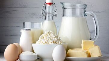 Daily Dairy Benefits for Kids: Milk, Yogurt, and Cheese